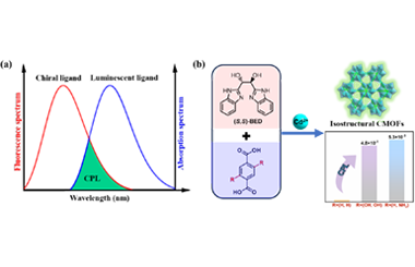 Ligand functionalization boosts circularly polarized luminescence in chiral MOFs 2026.100912